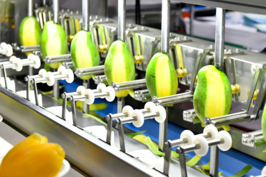 水果加工