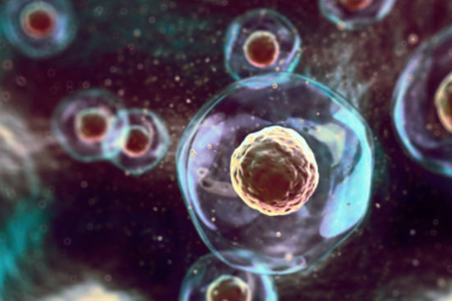 超高壓均質(zhì)機(jī)：生物科學(xué)與工業(yè)生產(chǎn)中細(xì)胞破碎的高效溫和核心設(shè)備