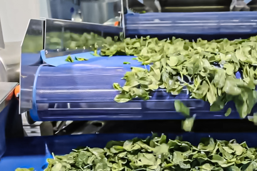 HPP 低溫滅菌技術(shù)：食品保鮮高效應(yīng)用與設(shè)備經(jīng)濟(jì)收益指南