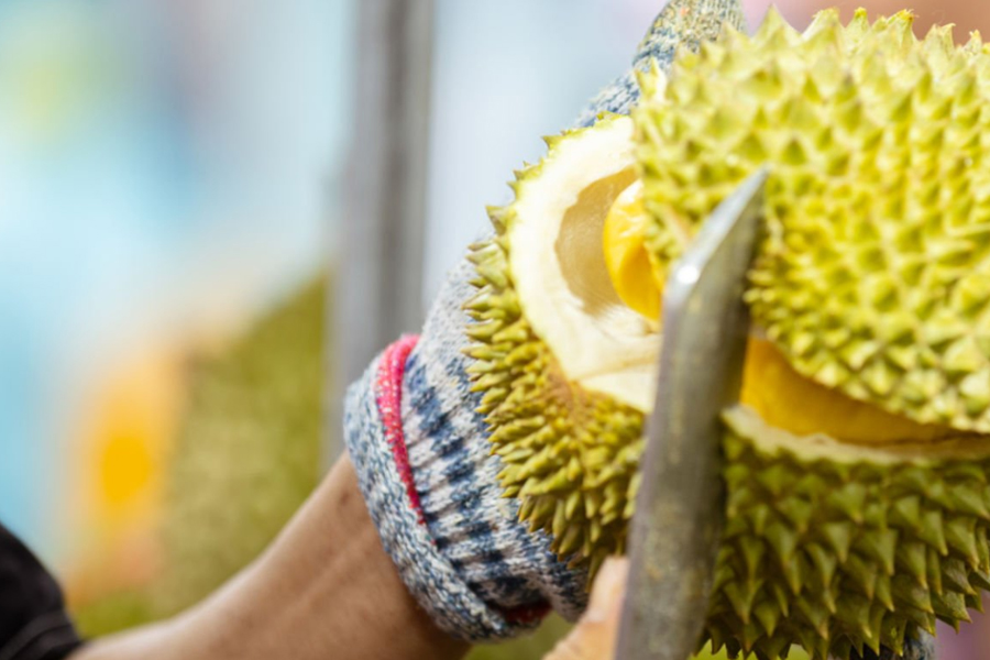 超高壓技術解鎖榴蓮千億市場，保鮮又保味！