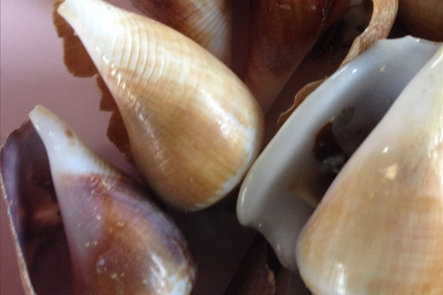 超高壓HPP技術(shù)破解海螺脫殼難題：實現(xiàn)高效無損加工與品質(zhì)升級