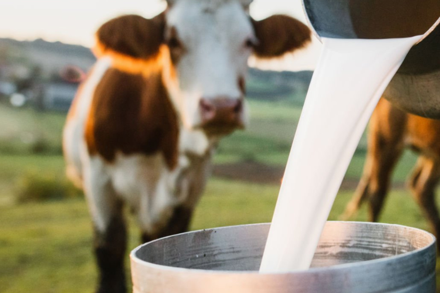 HPP超高壓滅菌設(shè)備：藏在牛奶口感的殺菌黑科技